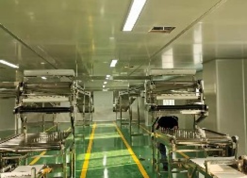 大型河粉生产线